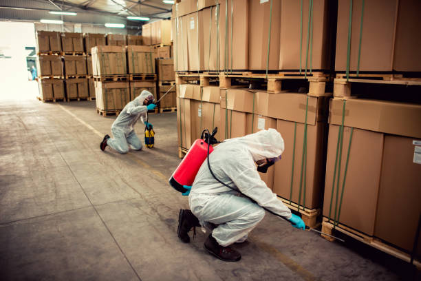 Best Best Pest Control Companies  in Seyur, MO