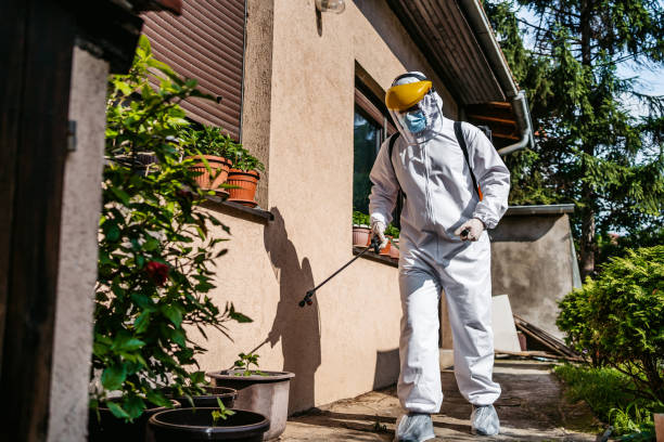 Best Local Pest Control Services  in Seyur, MO