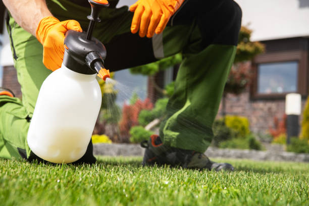 Best Pest Control for Businesses  in Seyur, MO