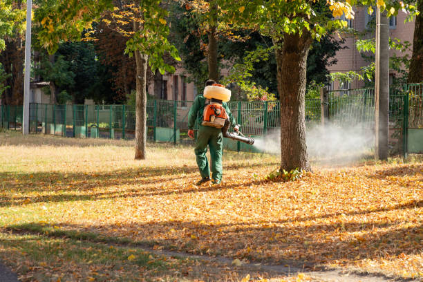 Best Cockroach Control Services  in Seyur, MO
