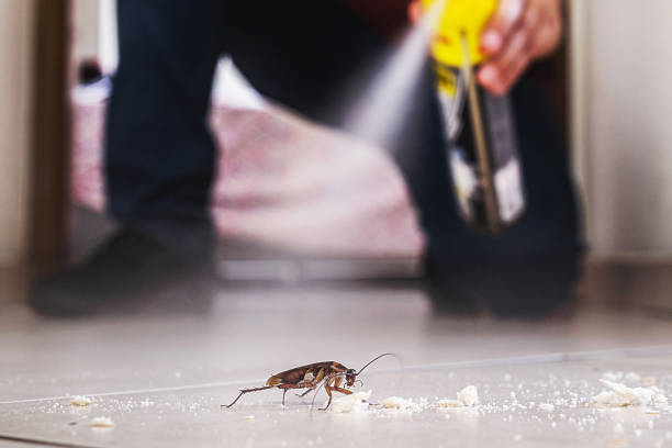 Best Pest Prevention Services  in Seyur, MO