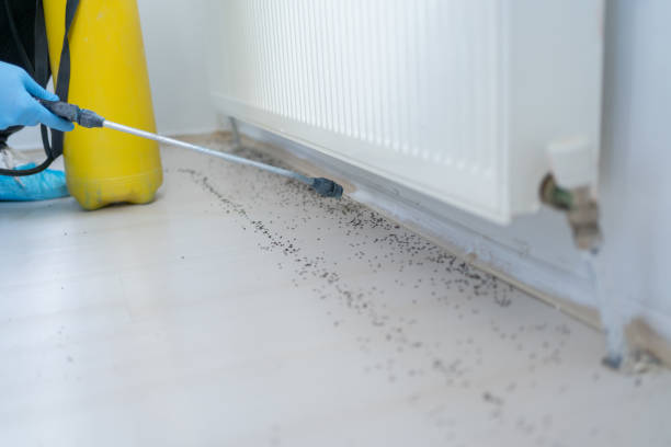Best Exterminator Services  in Seyur, MO