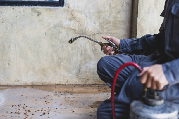 Best Pest Control Cost  in Seyur, MO