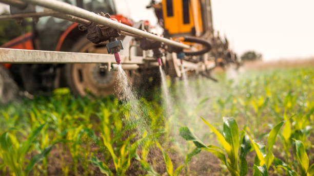 Pest Control Cost in Seymour, MO