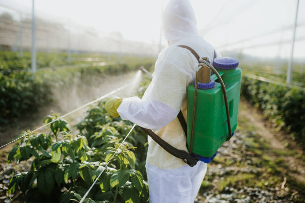 Best Emergency Pest Control  in Seyur, MO